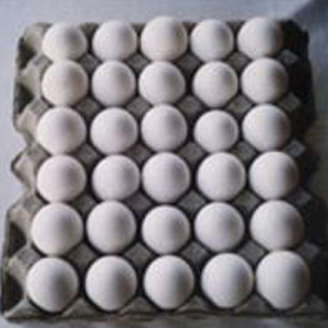 ���е������a(ch��n)�ӹ�